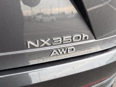 2024 Lexus NX 350h Premium