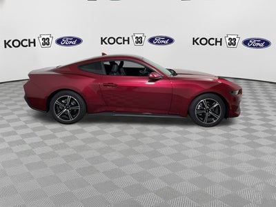 2025 Ford Mustang EcoBoost