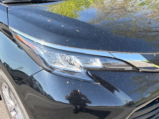2023 Toyota Sienna XLE 7 Passenger