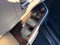 2022 Toyota Sienna XLE 7 Passenger