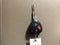 2017 Toyota 4Runner SR5 Premium